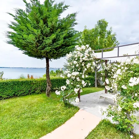 Royal Bay With Self Check-in 3* Sveti Vlas