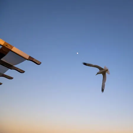 Royal Bay With Self Check-in Отель 3*