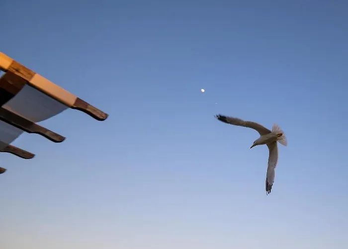 Royal Bay With Self Check-in Hotel 3*